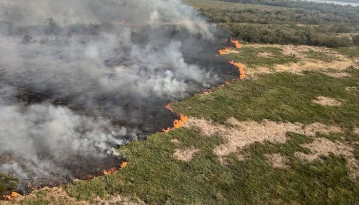  Governo do Paraná libera fundo de R$ 5 milhões para municípios em situação de emergência